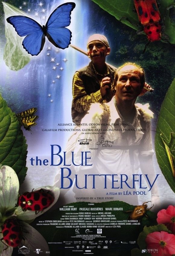 PAPILLON BLEU
